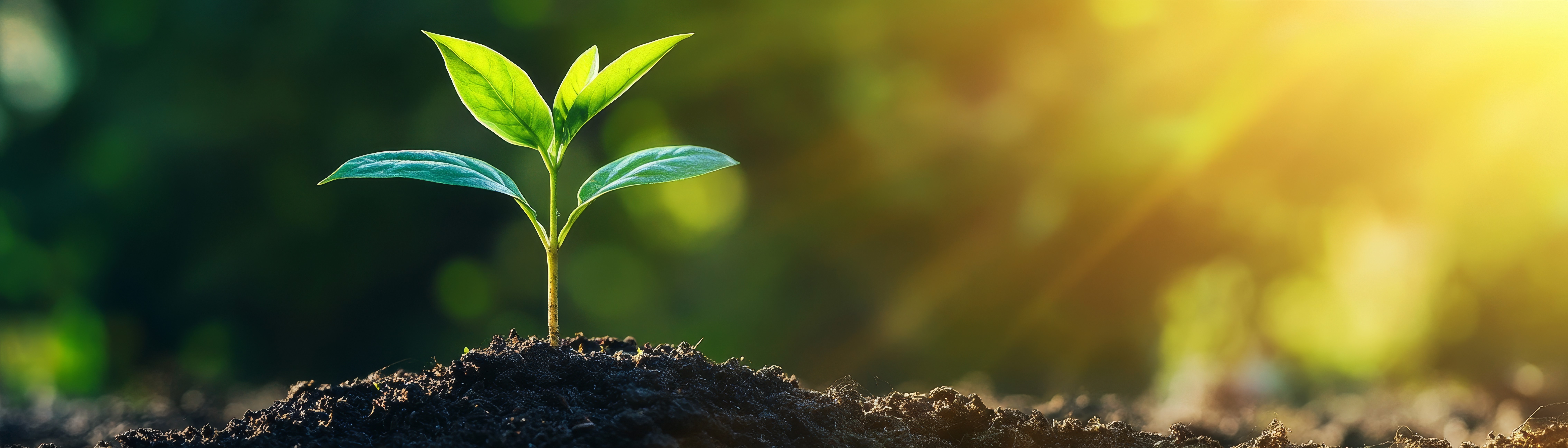 رویکرد ما به برنامه‌ریزی